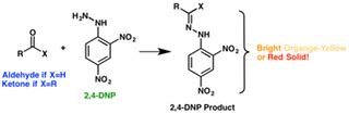 2 4 dnp test